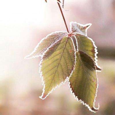 半岛官网入口下载